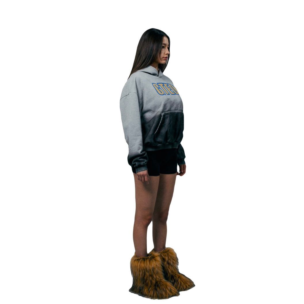 GTED "10" Hoodie